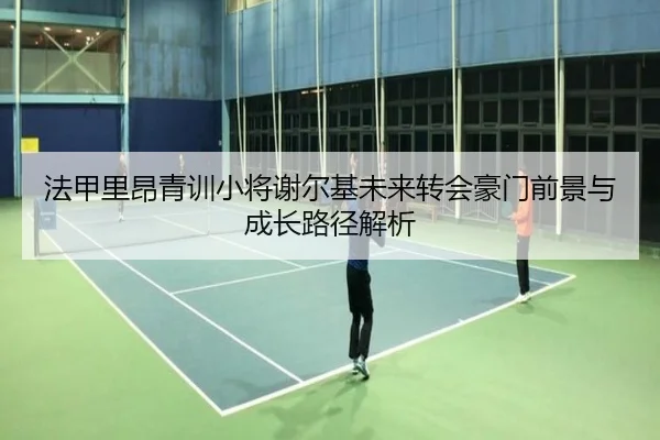 法甲里昂青训小将谢尔基未来转会豪门前景与成长路径解析