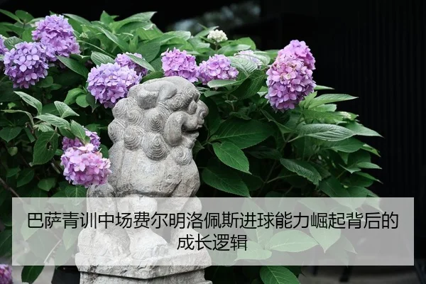 巴萨青训中场费尔明洛佩斯进球能力崛起背后的成长逻辑