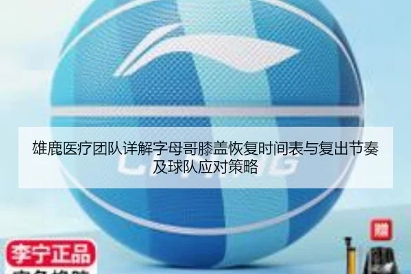 雄鹿医疗团队详解字母哥膝盖恢复时间表与复出节奏及球队应对策略